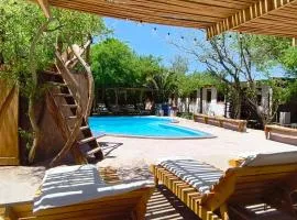 Hotel-Camping Takha Takha