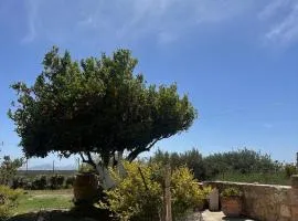 Nivritos Stoney Guesthouse