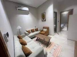 Modern apartment with elegant design