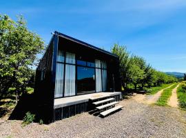 Loft industrial Colchagua, villa in Santa Cruz