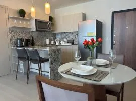 Deluxe Condo Suite 1BR in Panama