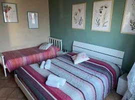 Cecil - La casa del Pucci