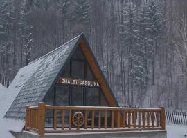 Chalet Carolina, chata v destinaci Padeş