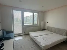 Light apartment near City Center with easy transport access