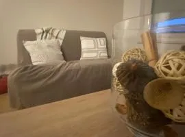 Appartement chaleureux au cœur de la Bresse