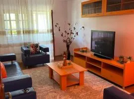 Apartament Tobi