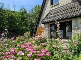 Ferienwohnung KIEK RUT - am Deich