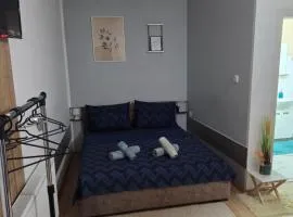 Zen 6 deluxe room