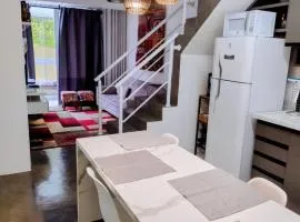 Gaudi Loft Design 50