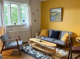 Charming apartment in city of Reykjavik