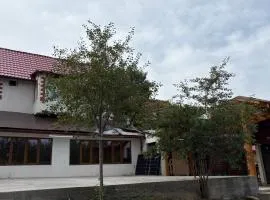 Cabana Ianoșiga