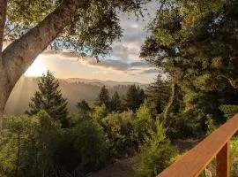 Redwood Haven Your Santa Cruz Mountains Gateway