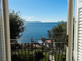 Charming Posillipo Sea View Ibiscus House