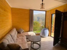 Forest Panorama House Dilijan
