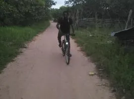 My home