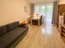 Apartament na Saperskiej