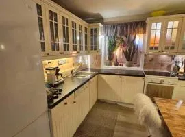 Spacious room in quiet, green area!