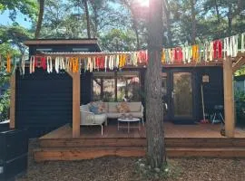 Thuisje van Hout, tiny house in Drentse natuur