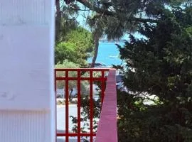 T2, 50 m beach, balcony with sea view