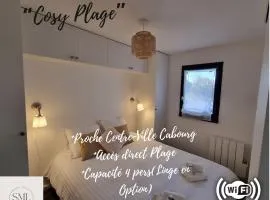 Cosy Plage-Accès privé à la Mer