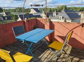 Maison avec terrasse face à la Confluence Loire-Vienne
