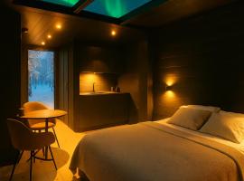 Aurora Igloo Village Ylläs Nox Suite，位于易拉斯加威的带热水浴缸的酒店