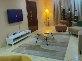 City style luxury apartment