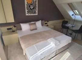 Vila Karlovčanka smeštaj u centru Sremskih Karlovaca