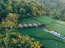 Eco Oasis Wooden Villa Ubud