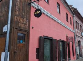 Céhes Guesthouse, hotel in Tîrgu Secuiesc