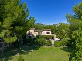 Mas de la Treille les Baux de Provence
