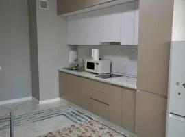 квартира в мкр Алмалы города Алматы