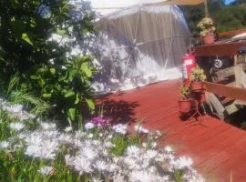 Domo con Hot Tub Piscina Sauna Olmue