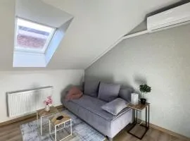 Main Square Grey Studio with Parking