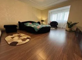 One-Bedroom Apartment in the center