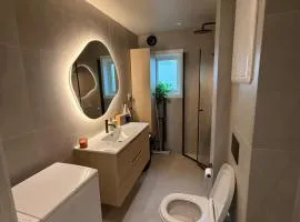 Modern 2-bedroom apartment in the city center