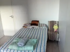 Private room in shared appartment
