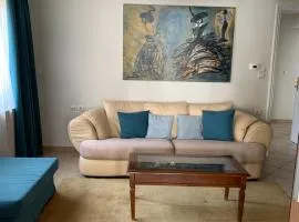 The Blue Apartment