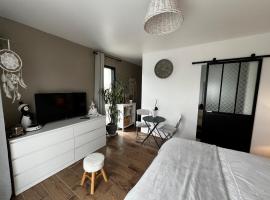 Quiniere - Entre Lac et Forêt - 25 m2 indépendant avec piscine, hotel in Blois