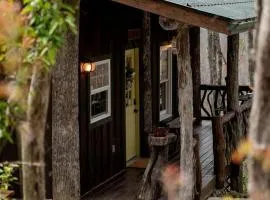Secluded Delight: Unplug and Reconnect in a Special House in Lake Toxaway's Woods