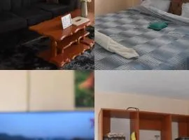 Humble Homes 1 bedroom Thika Town CBD access to Netflix,Fridge,wifi