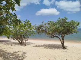 Casa Brisa do Tapajós