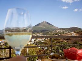 Casa da Estação, vista rio Tâmega e Senhora da Graça, hotel in Veade