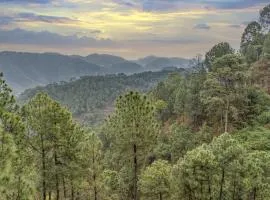 Suffer Heights Kasauli I Vacations I Family Groups & Events I Forest Treks I Memories Toy Train View I Serviced Apartments I Kasauli By Exotic Stays