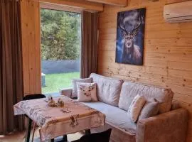 Resort Rykowisko DeLuxe No 3