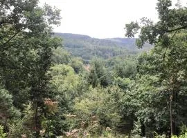 Waldläufer