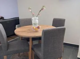 Kocić apartmani