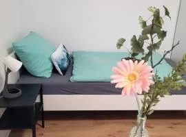 Fischer Apartment 3 - moderne Monteurs- & Ferienwohnung mit 3 Schlafzimmern - NEU renoviert