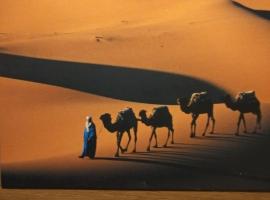 Camels House, hotel en Merzouga