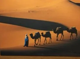Camels House